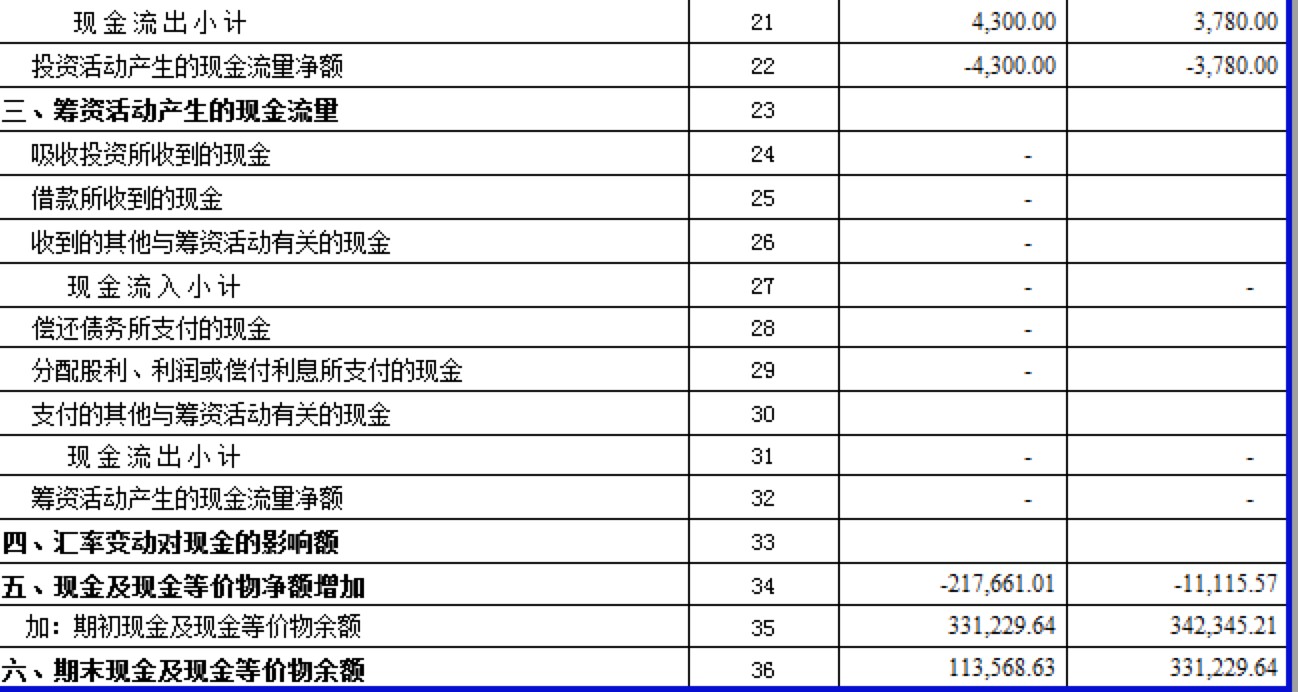 最新最全现金流量表模板免费下载使用